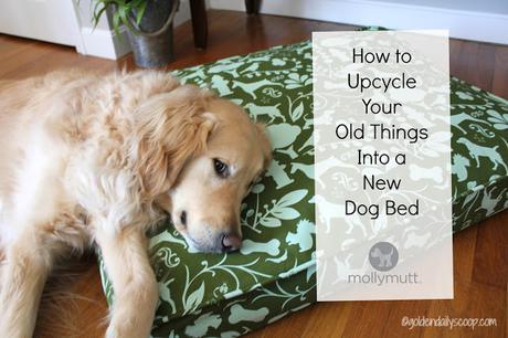 how to upcycle your old belongings into a molly mutt  dog beds 