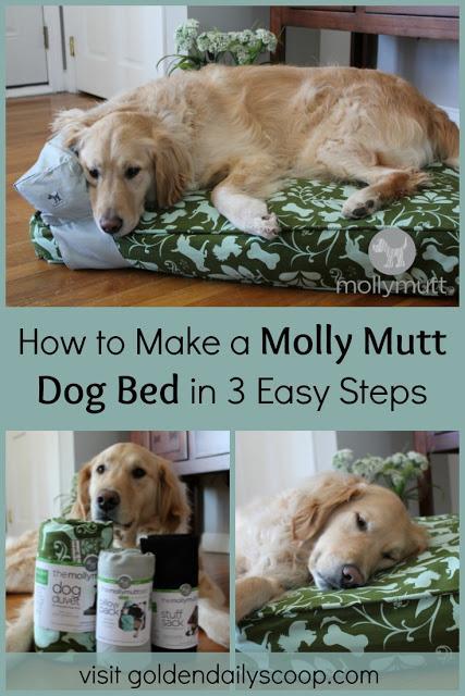 How to make a molly mutt bed in 3 easy steps