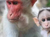 DAILY PHOTO: Making Momma Blush