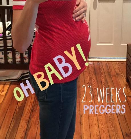 Pregnancy Journal: 23 weeks pregnant with baby #2