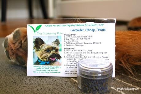 the nurturing paw dog treat recipe with lavender