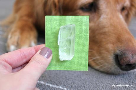 the nurturing paw quartz crystal healing effects for dogs and their owners
