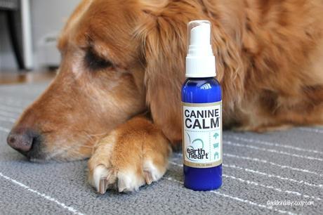 the nurturing paw canine calm spray for dogs with anxiety