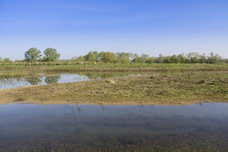 Views over the floodplain forest nature reserve