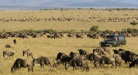 Walking Safaris in the Masai Mara