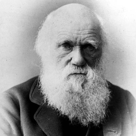 Charles Darwin Biography - life, history, school, mother