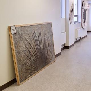 Following a Tree, from Fronds to Rebar Following a Tree, from Fronds to Rebar