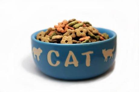 Five ways to fatten up your cat – How to fatten up a cat