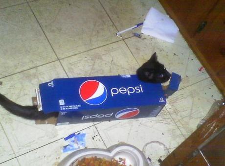 Pepsi Cat Costume