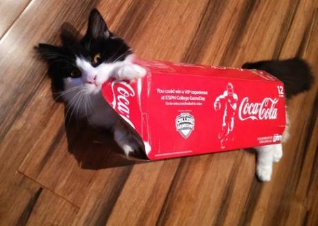 Coca-Cola Cat Costume