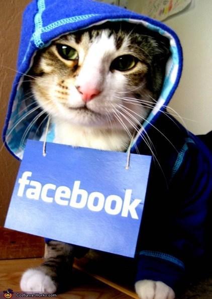 Facebook Cat Costume