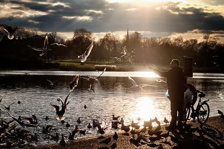 50 Shots: A #London #Photoblog No.3. The Bird Man of #HydePark