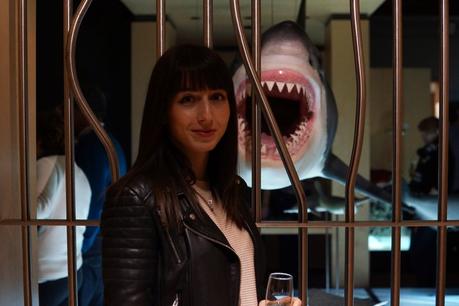 Great North Sleepover Hancock Museum Shark Nebloggers Review Lifestyle
