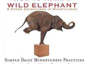 Train Wild Elephant #AtoZChallenge