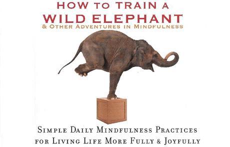 How to Train a Wild Elephant #AtoZChallenge