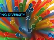 Diversity Programs Fail Harvard Business Review