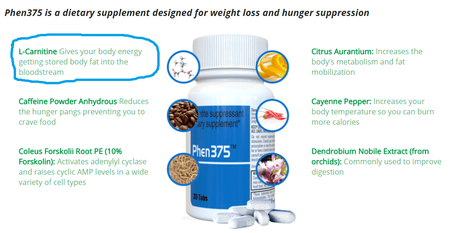 Does L-Carnitine help with weight loss?