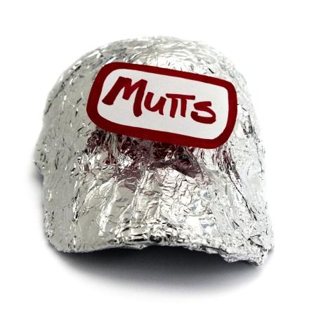 Mutts: Tin Foil Hat