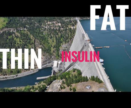 Why Insulin Is the Key to Weight Loss