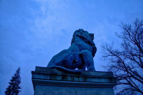 Wannsee Lion