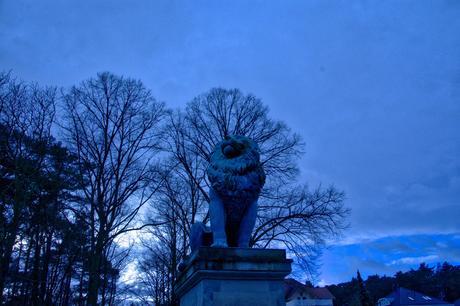 Wannsee Lion