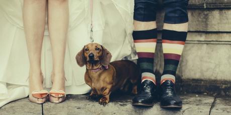sausage dog and bride and grooms feet at wedding with Lottie Designs Wedding photography