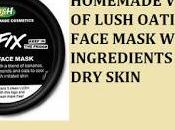 Homemade Version Lush Oatifix Face Mask