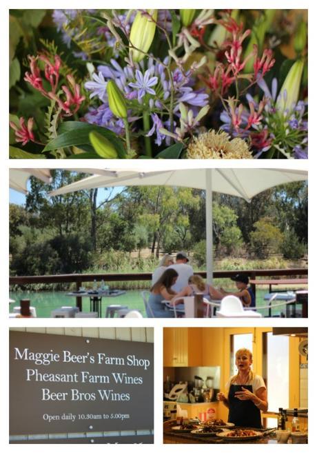 Visiting Barossa Valley Wineries in South Australia Visiting Barossa Valley Wineries in South Australia