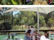 Visiting Barossa Valley Wineries South Australia