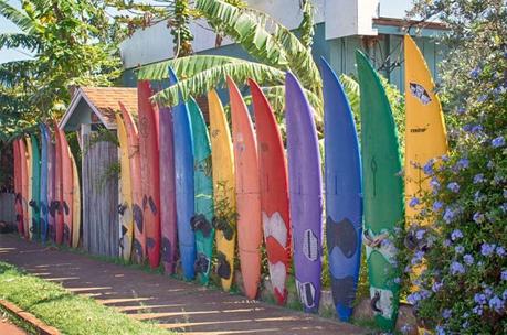 25+ Ideas for Decorating your Garden Fence (DIY)