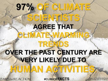 #ClimateFacts series: #ClimateChange #Science #ScientificConsensus