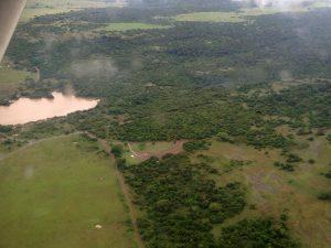 Safarilink aerial view Nairobi National Park