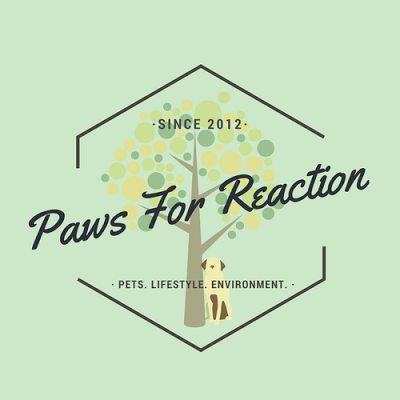 #Celebrating #PawsForReaction #Ontario #PetBlog 5th #Anniversary
