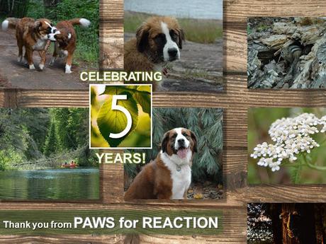 #Celebrating #PawsForReaction #Ontario #PetBlog 5th #Anniversary