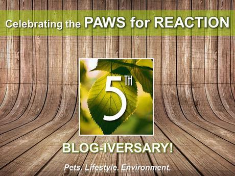 #Celebrating #PawsForReaction #Ontario #PetBlog 5th #Anniversary