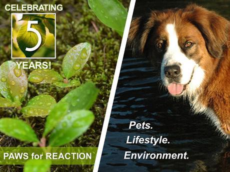 #Celebrating #PawsForReaction #Ontario #PetBlog 5th #Anniversary