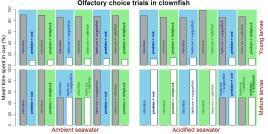 Noses baffled by ocean acidification