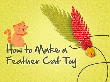 [Infographic] Chapter #1 – How to make a DIY feather cat toy in 5 mins