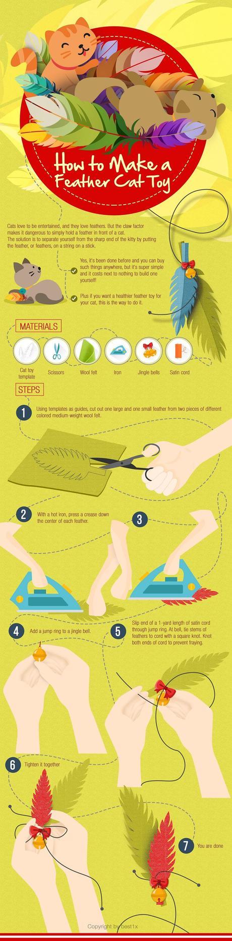[Infographic] Chapter #1 – How to make a DIY feather cat toy in 5 mins