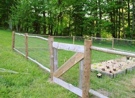 30+ Cheap Fence Ideas for Your Home, Garden, Perimeter, and Privacy