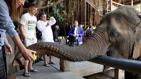 5 Reasons You Must Visit Thailand Once In A Lifetime!! 5 Reasons You Must Visit Thailand Once In A Lifetime!!