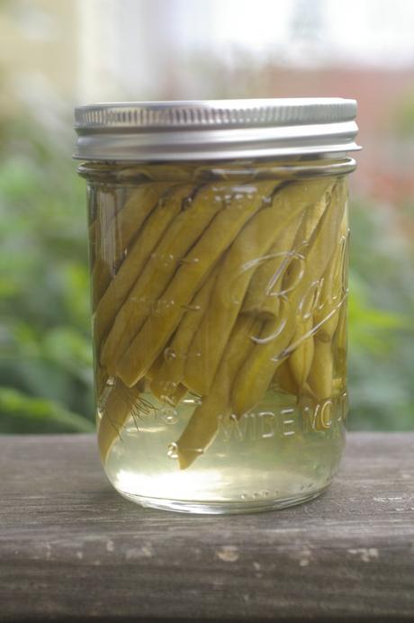 Quick Pickled Dilly Beans
