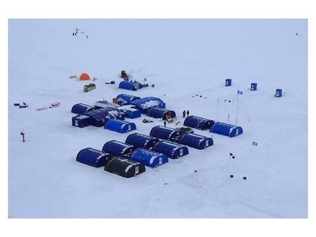 North Pole 2017: Skiers Shoot and Wound Bear Near the North Pole