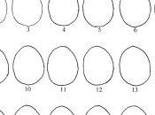 Egg-Citing Activites Kids Part Coloring Page, Many Days Hatch Chick?
