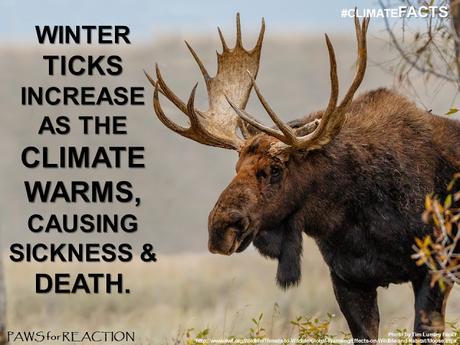 #ClimateFacts series: #ClimateChange #Science #Ticks #Pets and #Wildlife