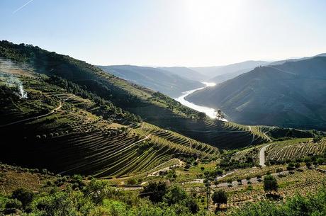 Douro Valley