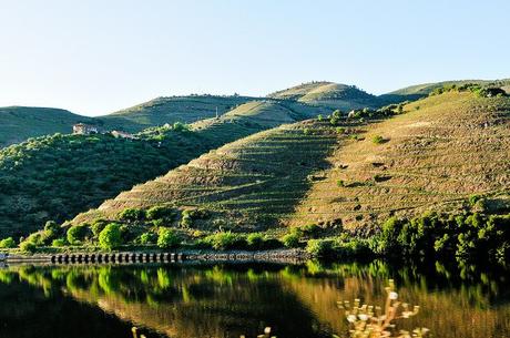 reflections in the Douro Valley