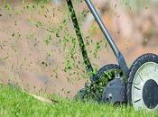 Tips More Perfect Lawn