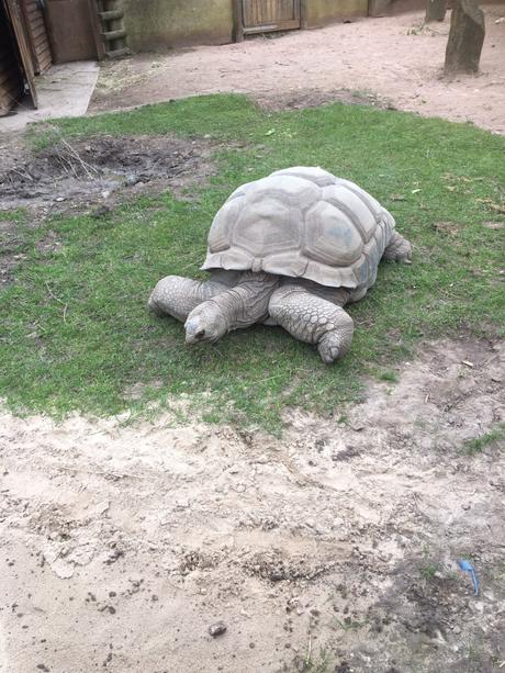 A day at Blackpool zoo