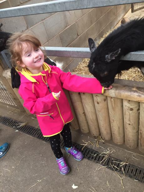 A day at Blackpool zoo